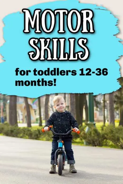 Motor Skills 12-36 Months