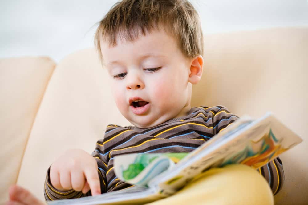 toddler pointing to pictures in book